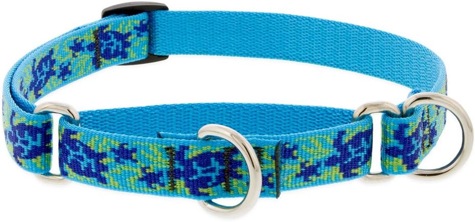 LupinePet Originals 3/4 Turtle Reef 10-14 Martingale Collar for Small Dogs