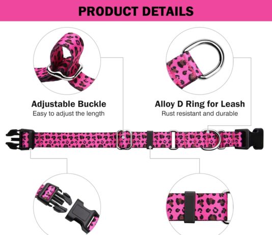 martingale collar for dogs adjustable soft nylon dog collars with special design cute patterns for small medium large do