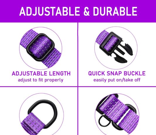 martingale collar for training dogs adjustable reflective collars with buckle usa flag no pull prevents slipping out for