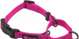 max and neo nylon martingale collar we donate a collar to a dog rescue for every collar sold mediumlarge pink
