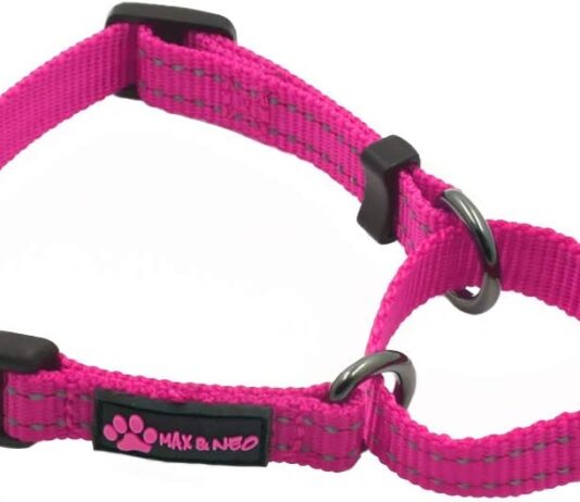 max and neo nylon martingale collar we donate a collar to a dog rescue for every collar sold mediumlarge pink