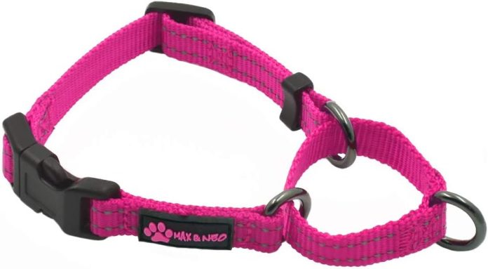 max and neo nylon martingale collar we donate a collar to a dog rescue for every collar sold mediumlarge pink