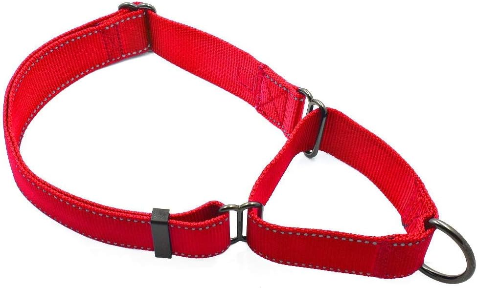 Max and Neo Nylon Martingale Collar - We Donate a Collar to a Dog Rescue for Every Collar Sold (Medium/Large, Pink)