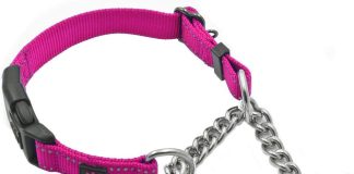 max and neo stainless steel chain martingale collar we donate a collar to a dog rescue for every collar sold