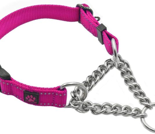 max and neo stainless steel chain martingale collar we donate a collar to a dog rescue for every collar sold