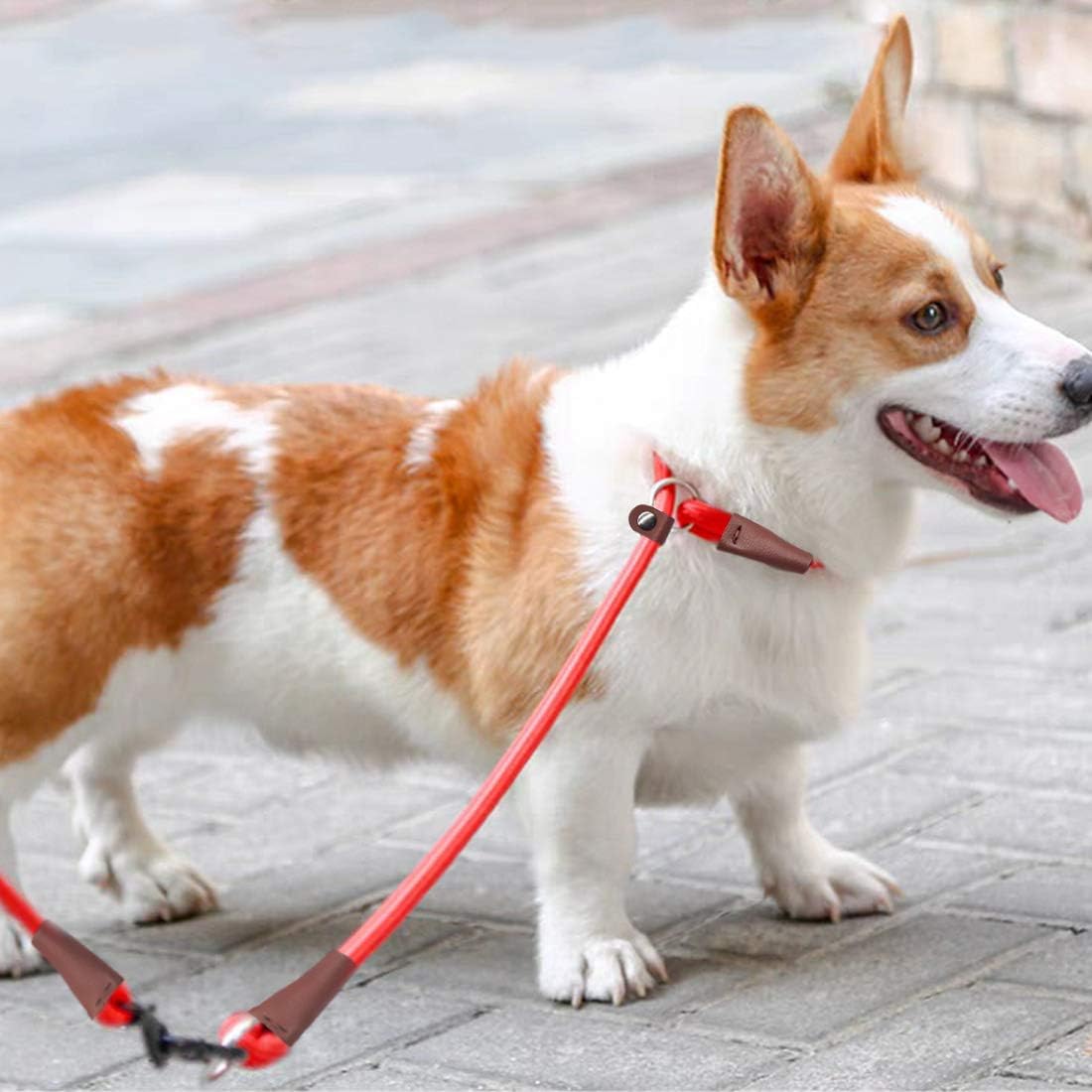 MayPaw Slip Collar Nylon Rope Choke Collar for Dog Training- No Pull Round Martingale Dog Collar for Small Medium Large Dogs