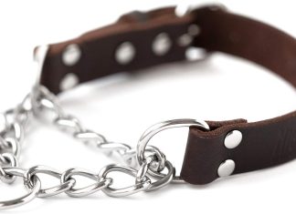 mighty paw martingale dog collar no pull design stainless steel chain limited cinch training collar premium leather mart