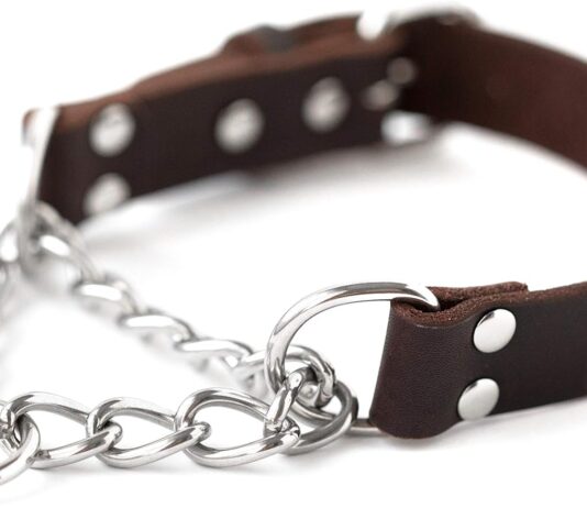 mighty paw martingale dog collar no pull design stainless steel chain limited cinch training collar premium leather mart