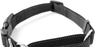 mighty paw martingale nylon training collar with buckle limited slip design for controlled optimal pet training enhanced