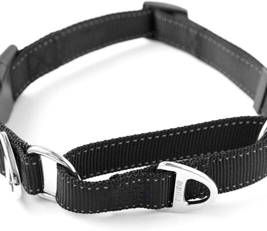 mighty paw martingale nylon training collar with buckle limited slip design for controlled optimal pet training enhanced