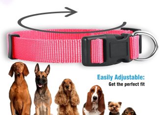 native pup martingale dog collar adjustable for small medium large pet and puppies accessories cute colors for male fema