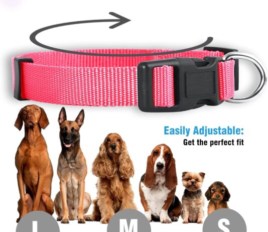 native pup martingale dog collar adjustable for small medium large pet and puppies accessories cute colors for male fema