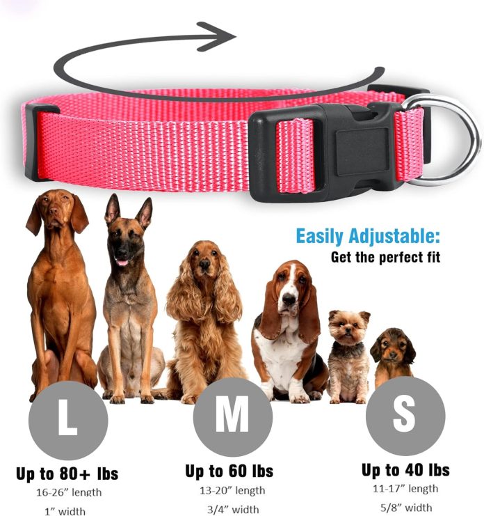 native pup martingale dog collar adjustable for small medium large pet and puppies accessories cute colors for male fema
