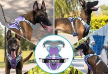 no pull dog harness reflective dog vest harness with front back 2 leash clips oxford pet harness adjustable soft padded