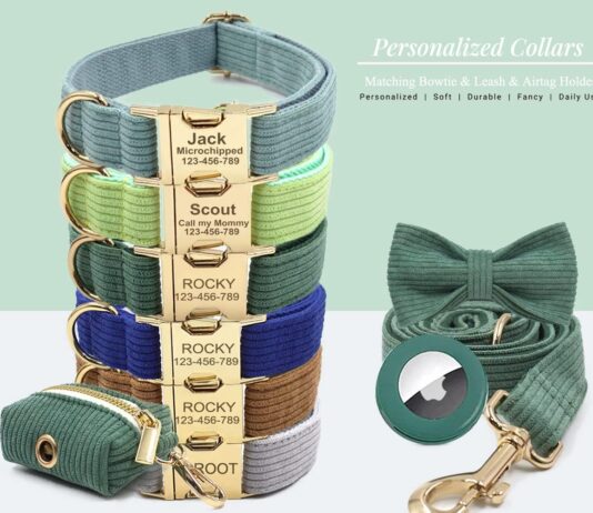 personalized dog collars with metal buckle custom pet name phone number for small medium large boys and girl breeds