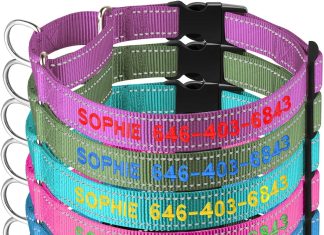 personalized martingale dog collar reflective martingale collars with buckle custom training martingale dog collars embr