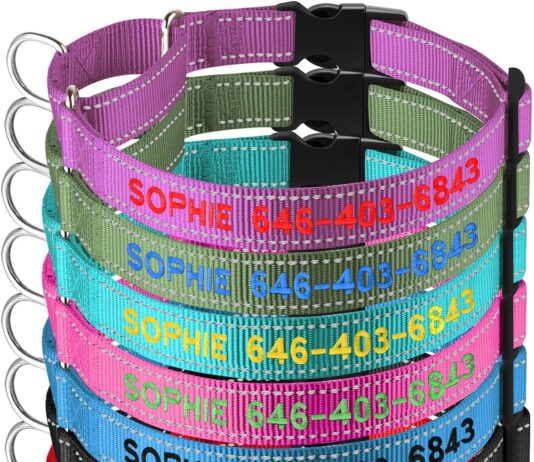 personalized martingale dog collar reflective martingale collars with buckle custom training martingale dog collars embr