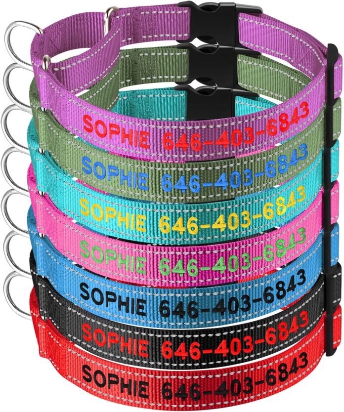 personalized martingale dog collar reflective martingale collars with buckle custom training martingale dog collars embr