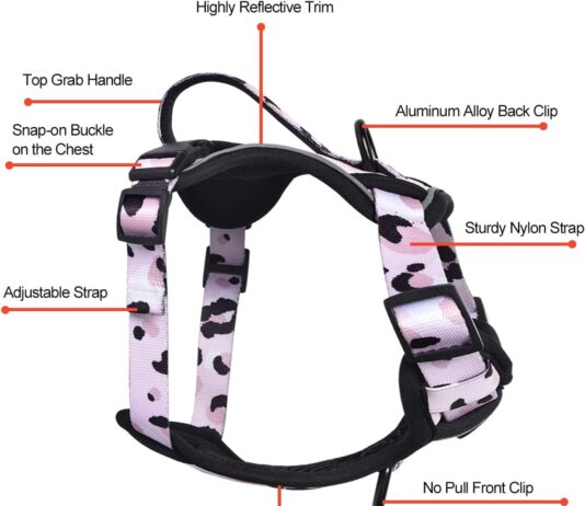 petmolico dog harness for xs dogs no pull cute dog harness with two leash clips and soft handle reflective easy walk dog
