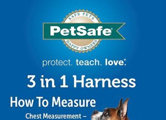 petsafe 3 in 1 no pull dog harness walk train or travel helps prevent pets from pulling on walks seatbelt loop doubles a
