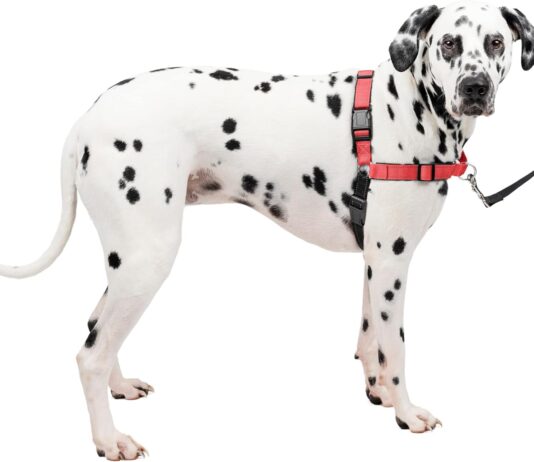petsafe deluxe easy walk dog harness no pull harness stop pulling great for walking and training comfortable padding for