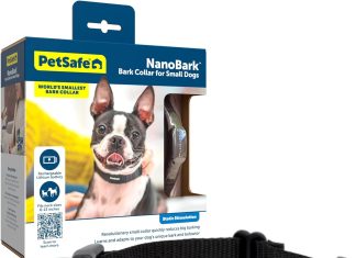 petsafe nanobark collar worlds smallest bark collar for small dogs 10 levels of static stimulation waterproof and rechar
