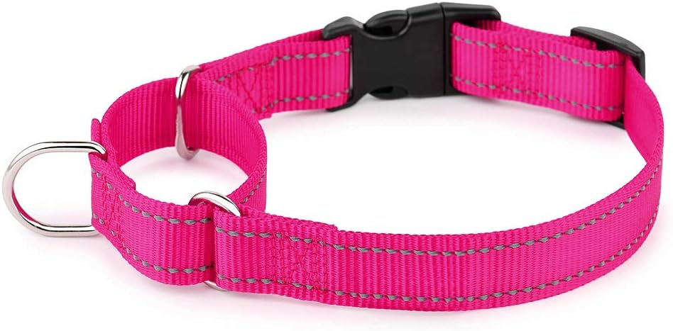 PLUTUS PET Reflective Martingale Collar with Quick Snap Buckle,No Pull Dog Choker Collar for Small Medium Large Dogs,XS,Hot Pink