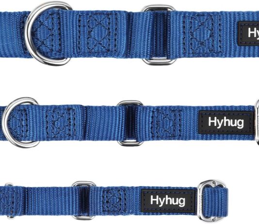 premium upgraded dog collar review