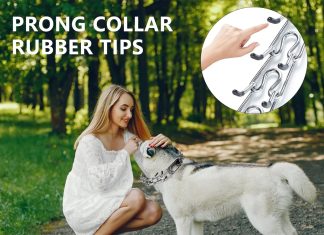 prong collar for dogs pinch collar for dogs no pull training collar with quick release buckle and rubber caps for large