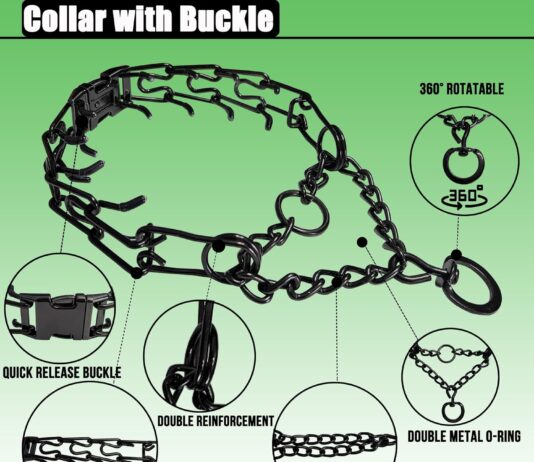 prong training collar review