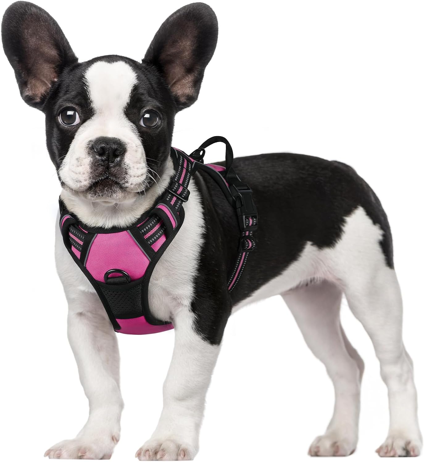 rabbitgoo Dog Harness, No-Pull Pet Harness with 2 Leash Clips, Adjustable Soft Padded Dog Vest, Reflective No-Choke Pet Oxford Vest with Easy Control Handle for Small Dogs, Hot Pink, S