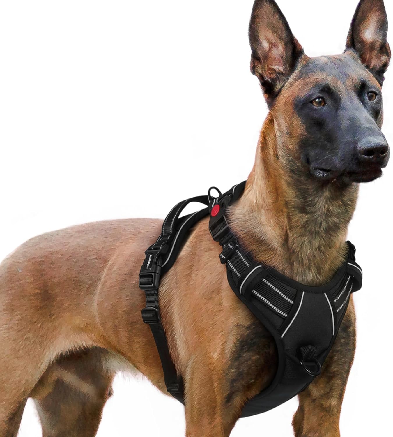 rabbitgoo Dog Harness Small Sized, No Pull Pet Harness with 3 Buckles, Adjustable Soft Padded Dog Vest with Instant Control Handle, Easy Walking Reflective Pet Vest for Small Dogs, Black, S