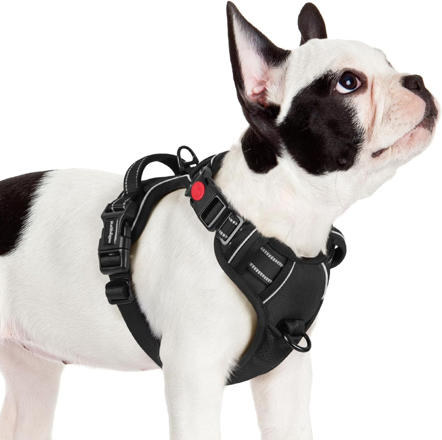 rabbitgoo Dog Harness Small Sized, No Pull Pet Harness with 3 Buckles, Adjustable Soft Padded Dog Vest with Instant Control Handle, Easy Walking Reflective Pet Vest for Small Dogs, Black, S
