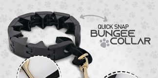ram pro dog training pinch collar large triple crown gentle effectiveno barking control for all breeds