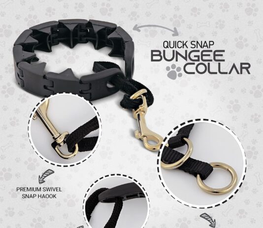 ram pro dog training pinch collar large triple crown gentle effectiveno barking control for all breeds