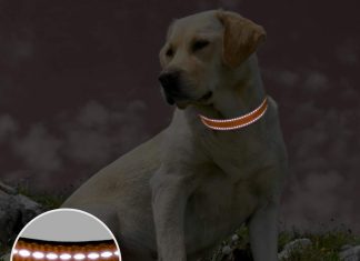 reflective dog collar review