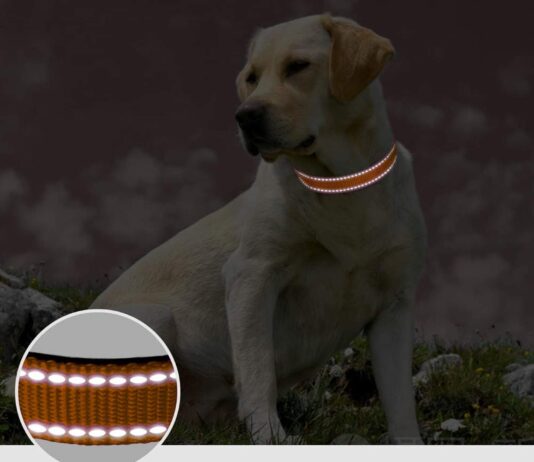 BOOMIBOO Reflective Dog Collar Review reflective dog collar review