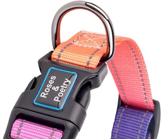Roses&Poetry Reflective Dog Collar Review rosespoetry reflective dog collar with gradient mistyrose adjustable durable pet collars for small medium large dogs mis