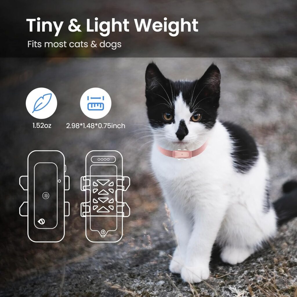 SEEWORLD P1 GPS Cat Dog Tracker Review | My Dog Collar
