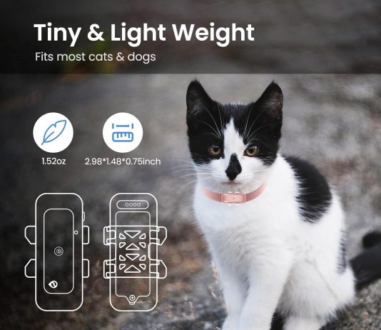seeworld p1 gps cat dog tracker for anti lost no distance limited waterproof real time tracking smart activity tracking