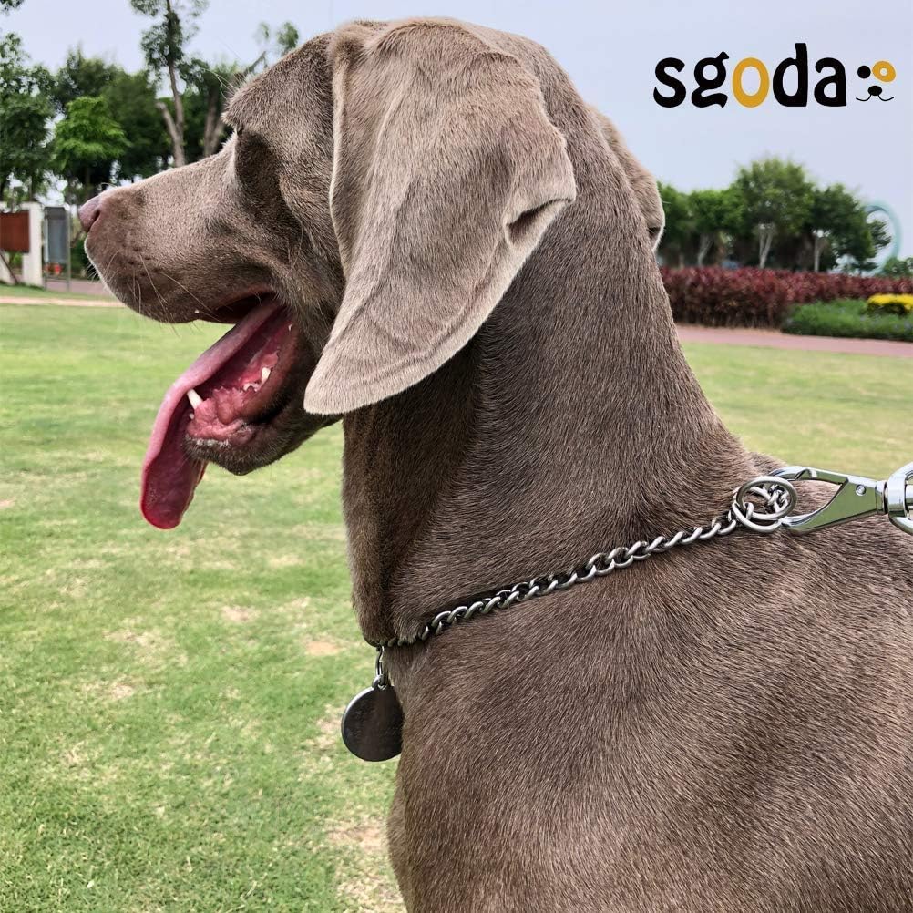 SGODA Chain Dog Training Choke Collar, 22 in, 3 mm