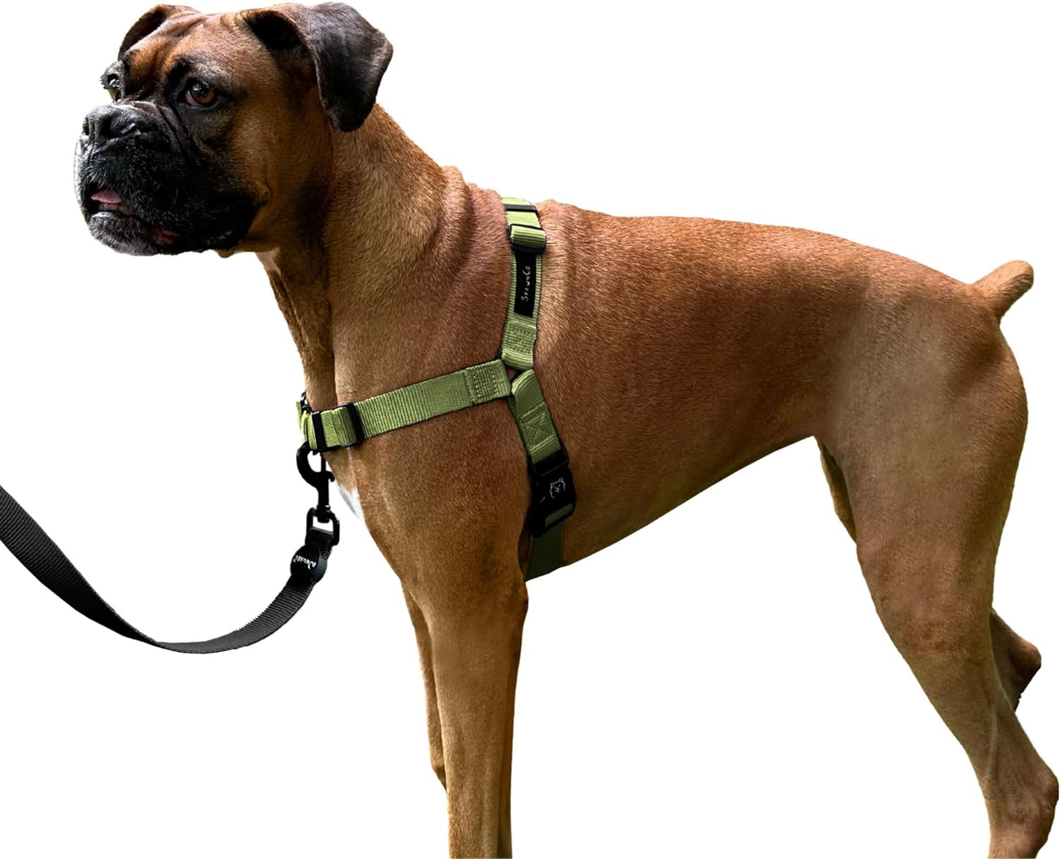 ShawnCo Dream Walk No-Pull Dog Harness- Adjustable, Comfortable, Easy to Use Pet Halter to Help Stop Pulling for Small, Medium and Large Dogs (Olive Green, M)