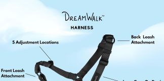 shawnco dream walk no pull dog harness adjustable comfortable easy to use pet halter to help stop pulling for small medi