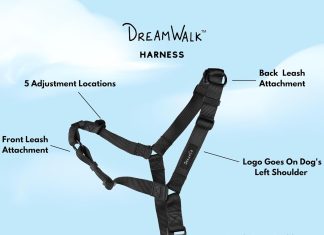 shawnco dream walk no pull dog harness adjustable comfortable easy to use pet halter to help stop pulling for small medi