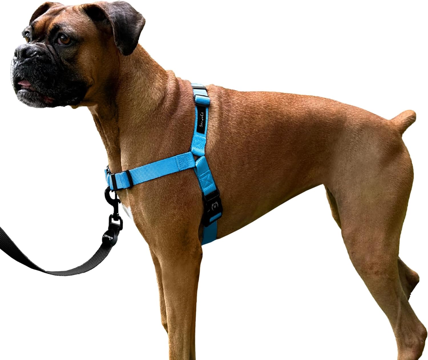ShawnCo Dream Walk No-Pull Dog Harness- Adjustable, Comfortable, Easy to Use Pet Halter to Help Stop Pulling for Small, Medium and Large Dogs (Rose Gold, M)