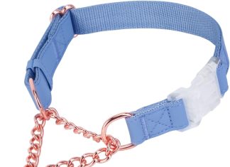 soft leather martingale collar for dogs rose gold chain limited slip collars with quick release buckle stylish adjustabl