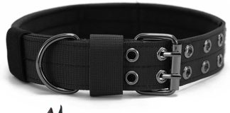 tactical dog collar military adjustable dog collars soft nylon k9 training collar with patch heavy duty metal buckle col