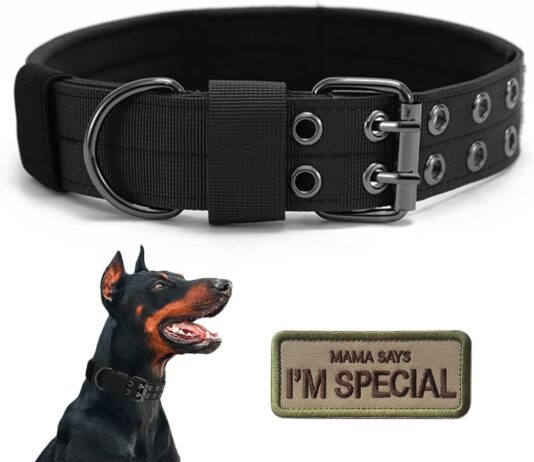 tactical dog collar military adjustable dog collars soft nylon k9 training collar with patch heavy duty metal buckle col