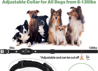 topday dog shock collar 1000ft dog training collar with remote for 5 130lbs small medium dogs rechargeable ipx7 waterpro