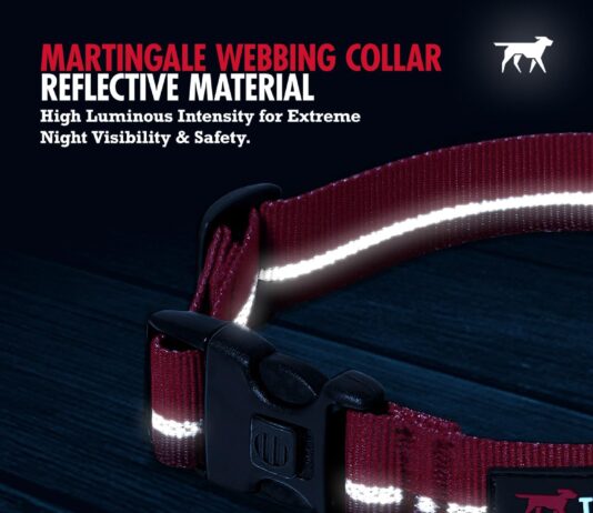 tuff pupper martingale collar for dogs gentle nylon limited cinch is perfect for training durable locking buckle reflect